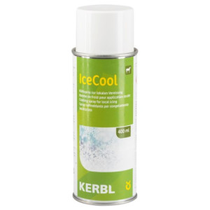 Spray réfrigérant IceCool 400 ml